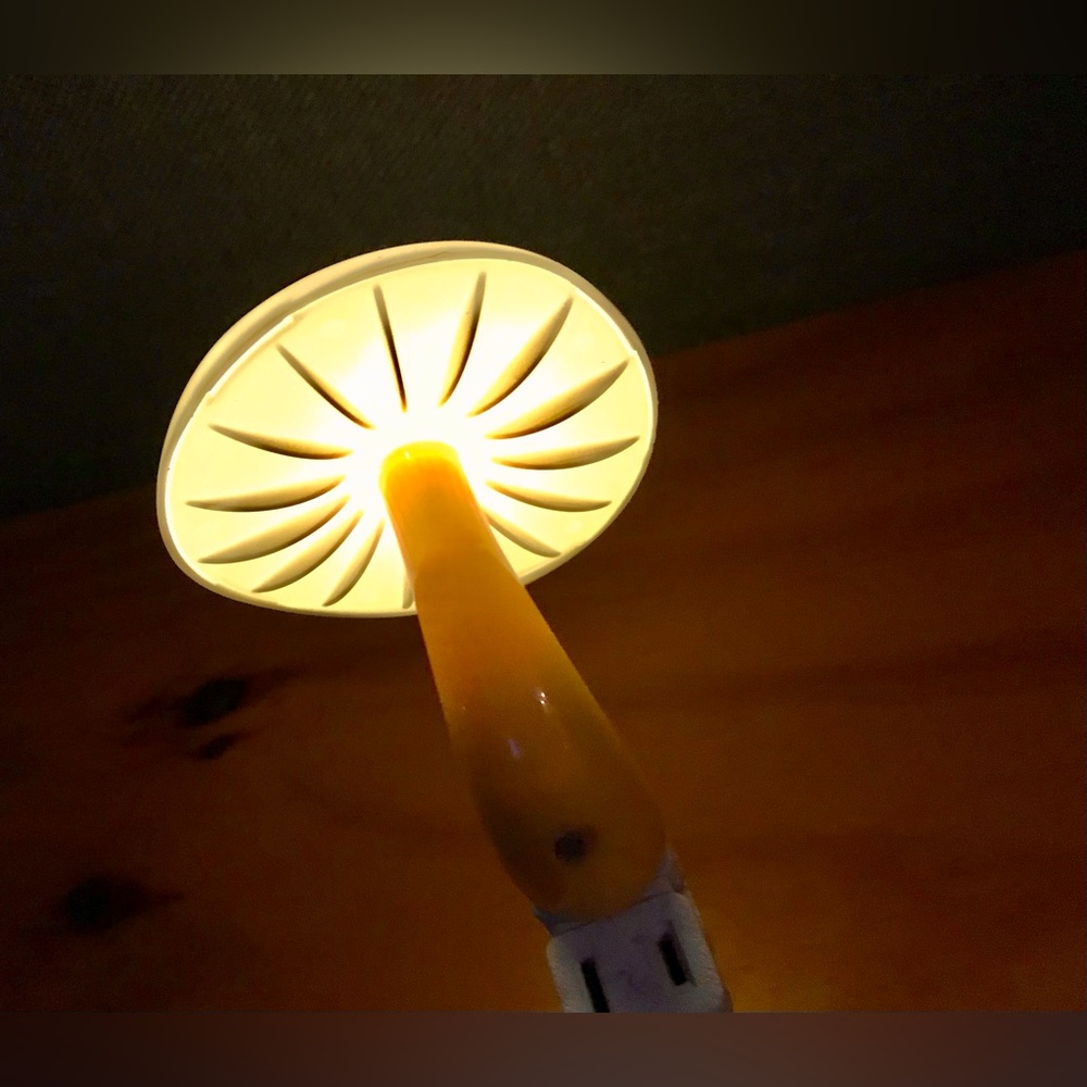 Mushroom Lot Light Detection Nite Lite Night Light & Felted Ceramic Toadstools - Picture 8 of 16